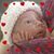 Dawn Ziegler's profile image