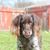 Carolyn Rourke Metcalf's profile image