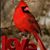 Sandi Renner's profile image