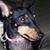 Susan Fisher's profile image