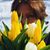 Debra Morrison's profile image