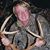 Steve Johnston's profile image