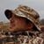 Jeff Care's profile image