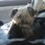 Rebecca Gunderson's profile image
