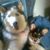 Kathy Thomas's profile image