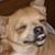 Cindy Parrett's profile image