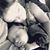 Angie Anthony-Adlesperger's profile image