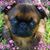 Linda Kendo's profile image
