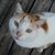 Eileen Aukstakalnis's profile image