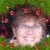 Vicki Lair's profile image