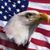 Kim Richardson Spurr's profile image