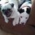 Debbie Trask's profile image