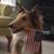 Cindy Manuel Eubanks's profile image
