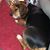 Jackie Fouse McLean's profile image
