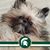 Kelly Cochran's profile image