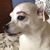 Cathy Hendriks's profile image