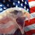 Steve Palumbo's profile image