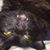 Donna Wisdom's profile image