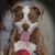 Lora Brownstein's profile image