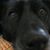 Greg-Mohn Whatsfordinner Greg's profile image