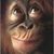 Johnny Langston's profile image