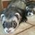 Cheryl Richardson's profile image