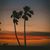 Vicki Isbell Ross's profile image