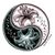 Val Wolfe's profile image