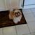 Janet Daudelin's profile image