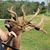 Jason Andrew's profile image