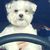 Dulce Darci's profile image