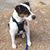 Carrie Guarino's profile image