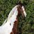 Kathy Peterson-Herbst's profile image
