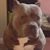 Schavorr Patton-Jackson's profile image