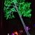 Linda Durham Bender's profile image