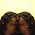 Vicshania Ruess's profile image