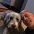 Chris Veltrie's profile image