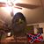 Dallas Johnson's profile image
