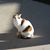 Julie Armstrong Foley's profile image