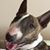 Bob Nickerson's profile image