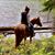 Jessica Abatie's profile image