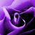 Elyse Brennan Rochowski's profile image