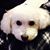Michelle Sherm's profile image