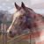 Vicky Potter's profile image