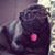 Sara Gray Evans's profile image