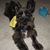 Mary Millan's profile image