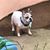 Jonel Yelverton-reis's profile image