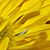 Lori Blakey Welles's profile image