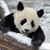 Michelle D. Budinski's profile image