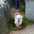 Laura Kelley Hauenstein's profile image